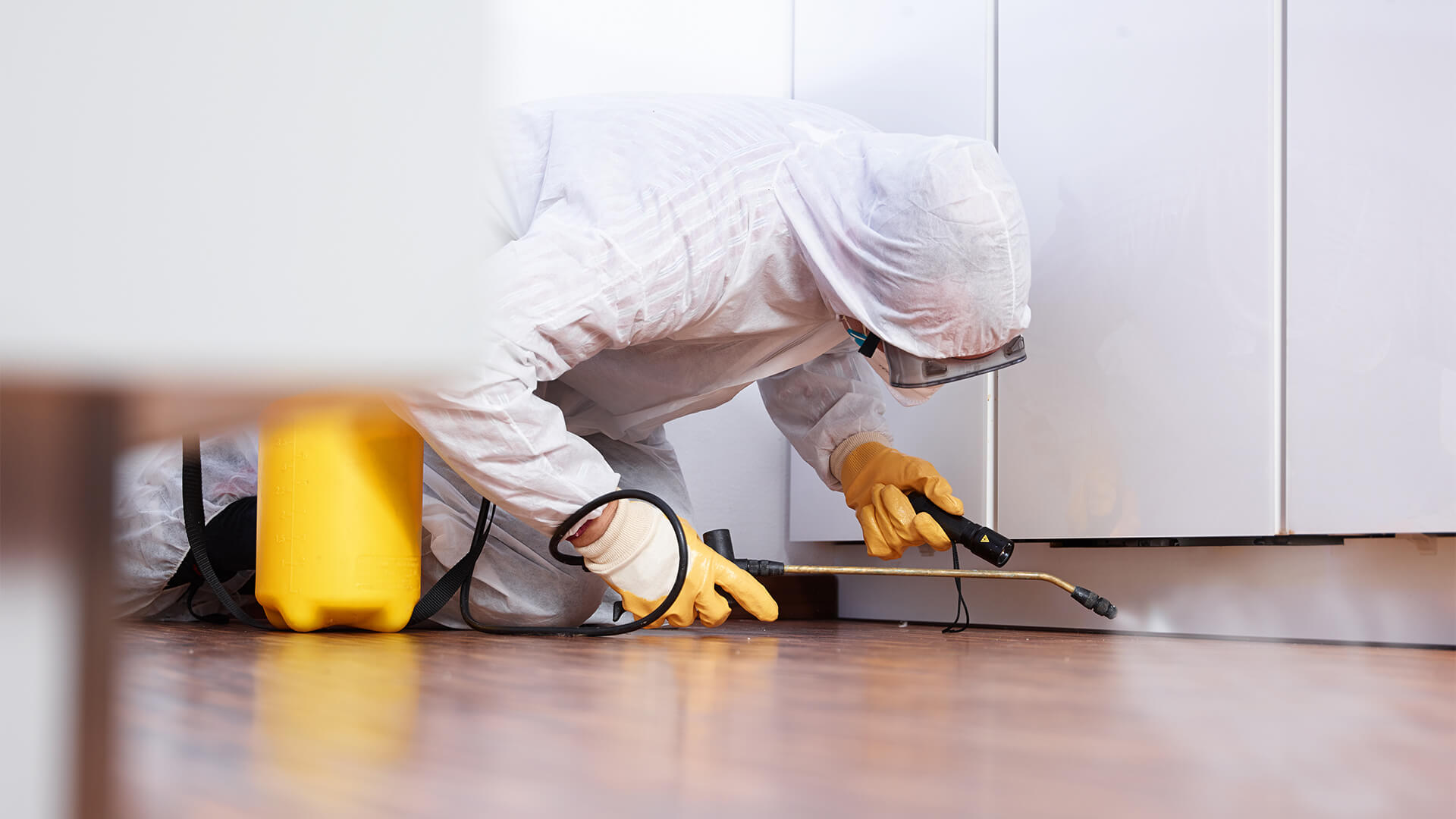 Why Professional Pest Control in London Beats DIY Every Time